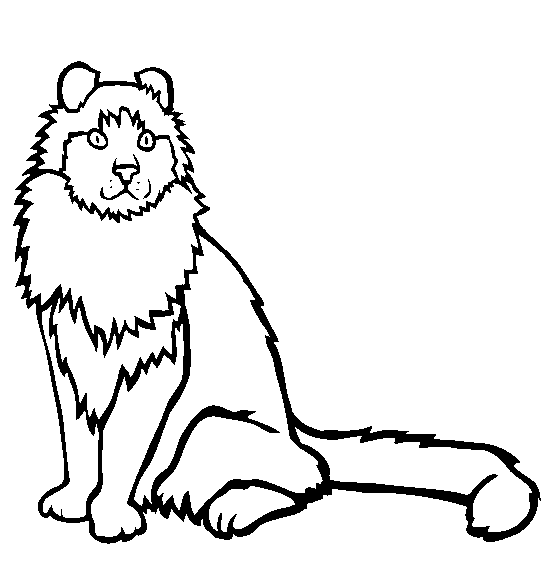 American Curl Cat Coloring Page | Online Coloring